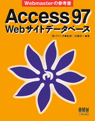 Access 97 Webサイト データベース