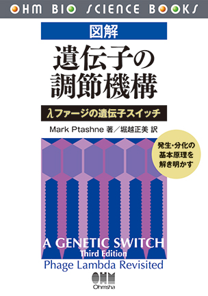 図解 遺伝子の調節機構 ―λファージの遺伝子スイッチ―