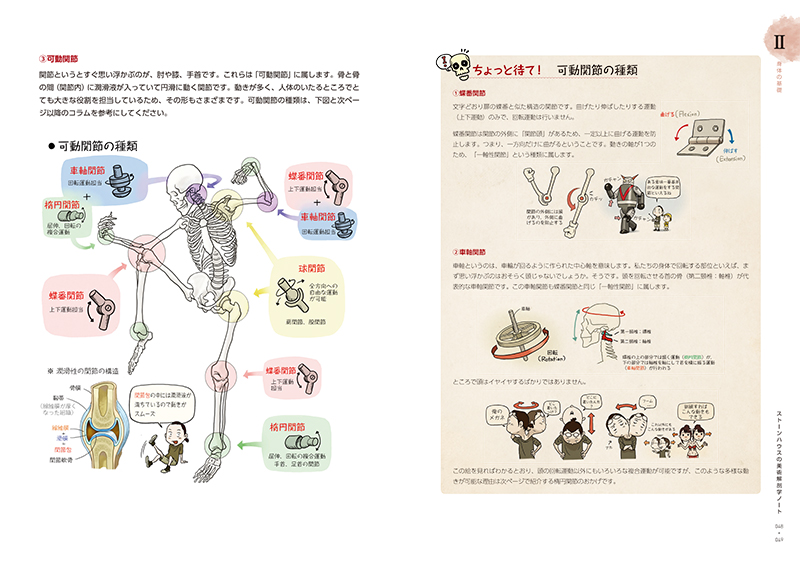 ソッカの美術解剖学ノート | Ohmsha