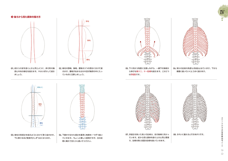 ソッカの美術解剖学ノート | Ohmsha