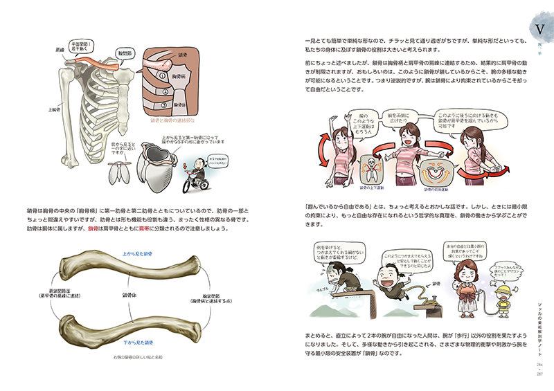 ソッカの美術解剖学ノート | Ohmsha