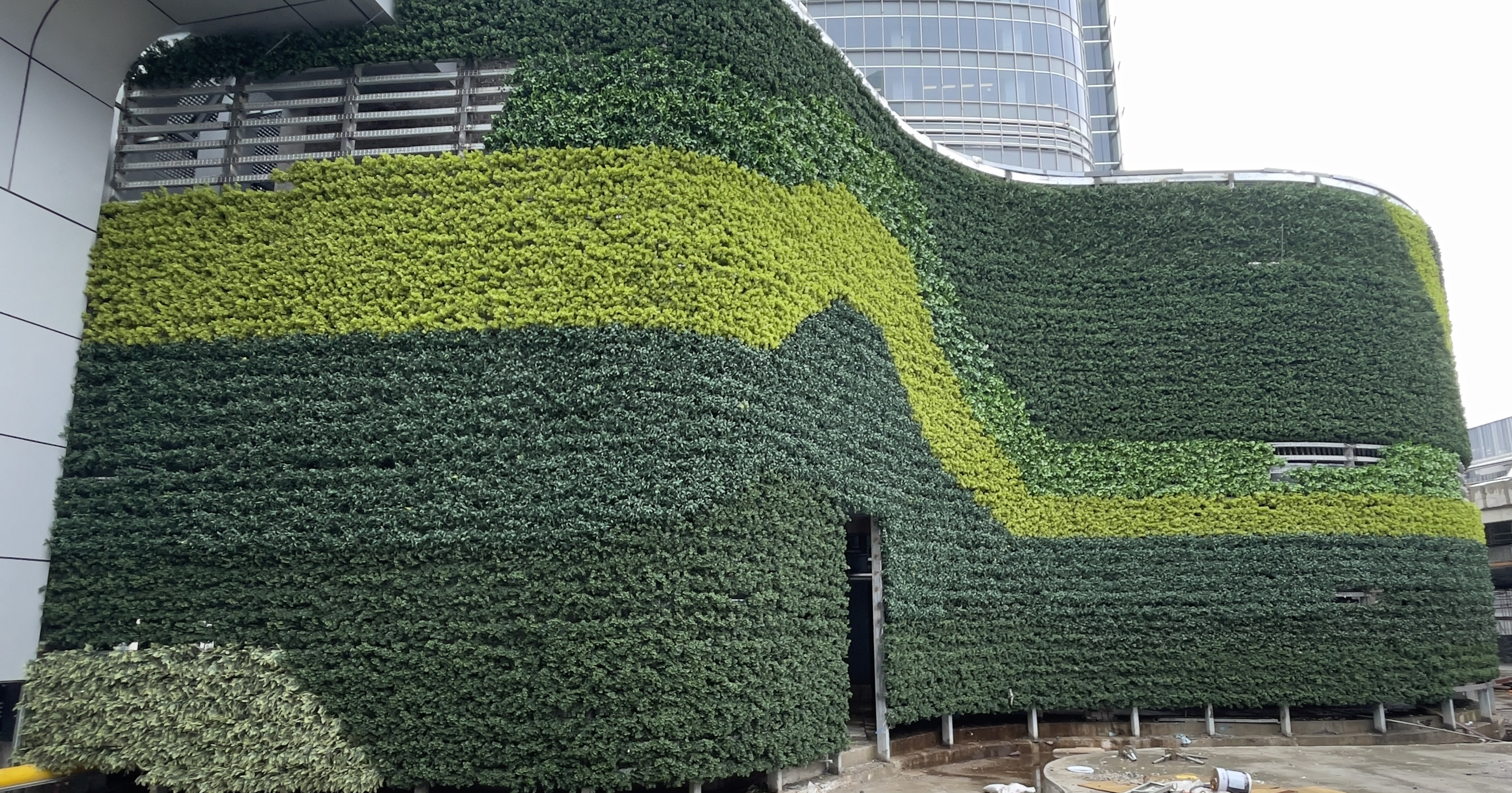 フェイクグリーン「Greem」
